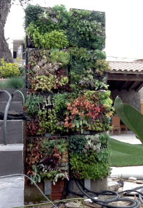 vertical-succulent-garden-outdoor-shower-construction-urbangardensweb
