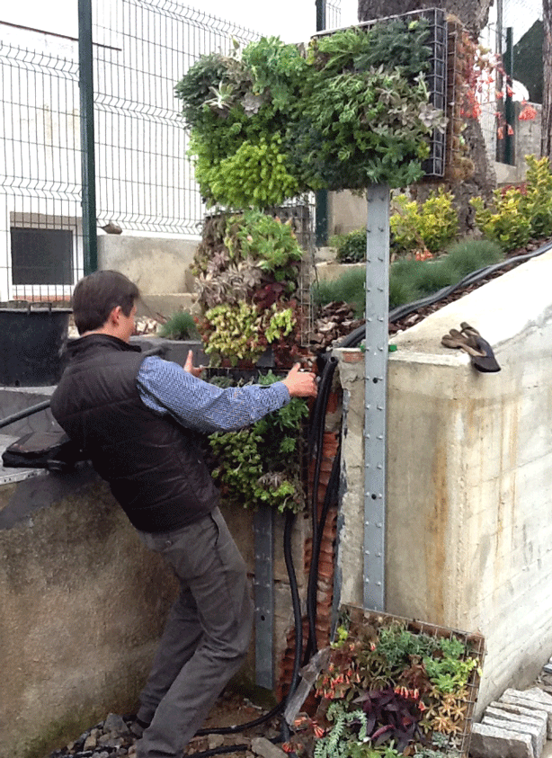 vertical-succulent-garden-outdoor-shower-installation-urbangardensweb
