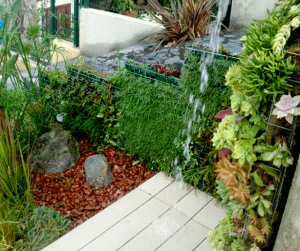 vertical-succulent-garden-outdoor-shower-side-urbangardensweb
