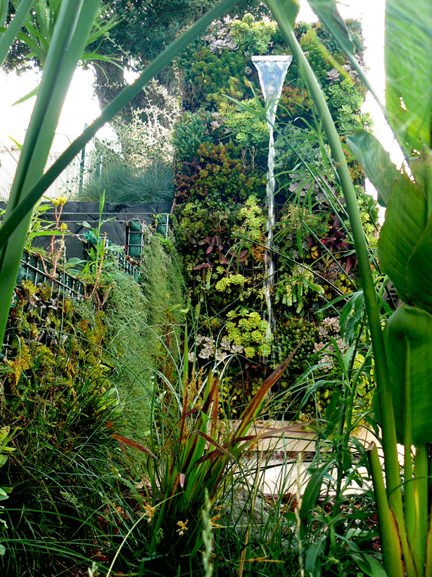 vertical-succulent-garden-outdoor-shower-water-flow-urbangardensweb